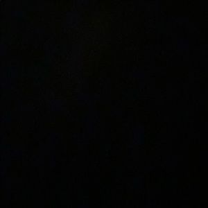 Meet your Posher, Izzy